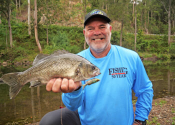 Bellinger River bass