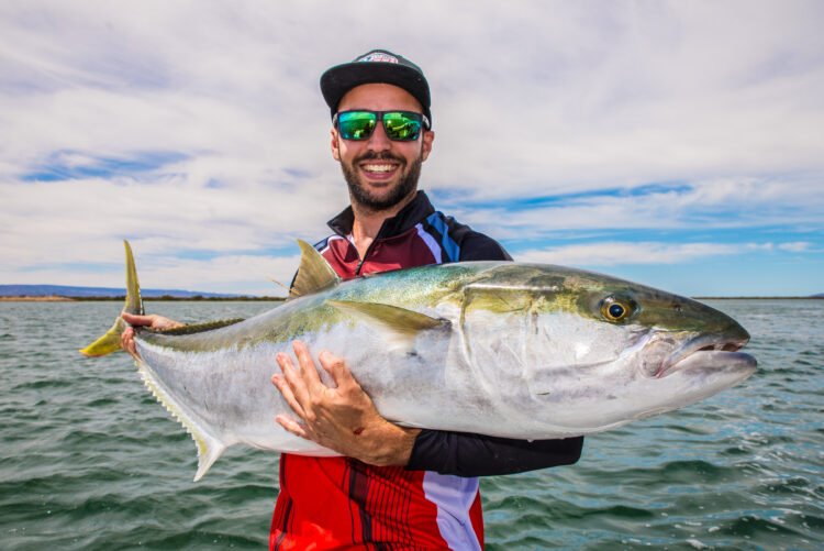 Kingfish fever