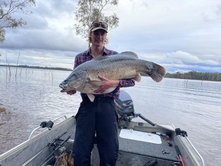 Consultation for year-round cod fisheries in Victoria