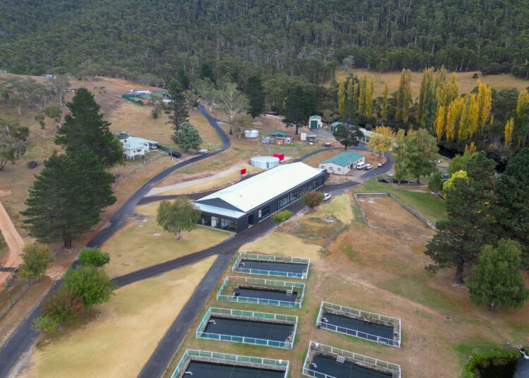 Gaden trout hatchery Archives - Fishing World Australia