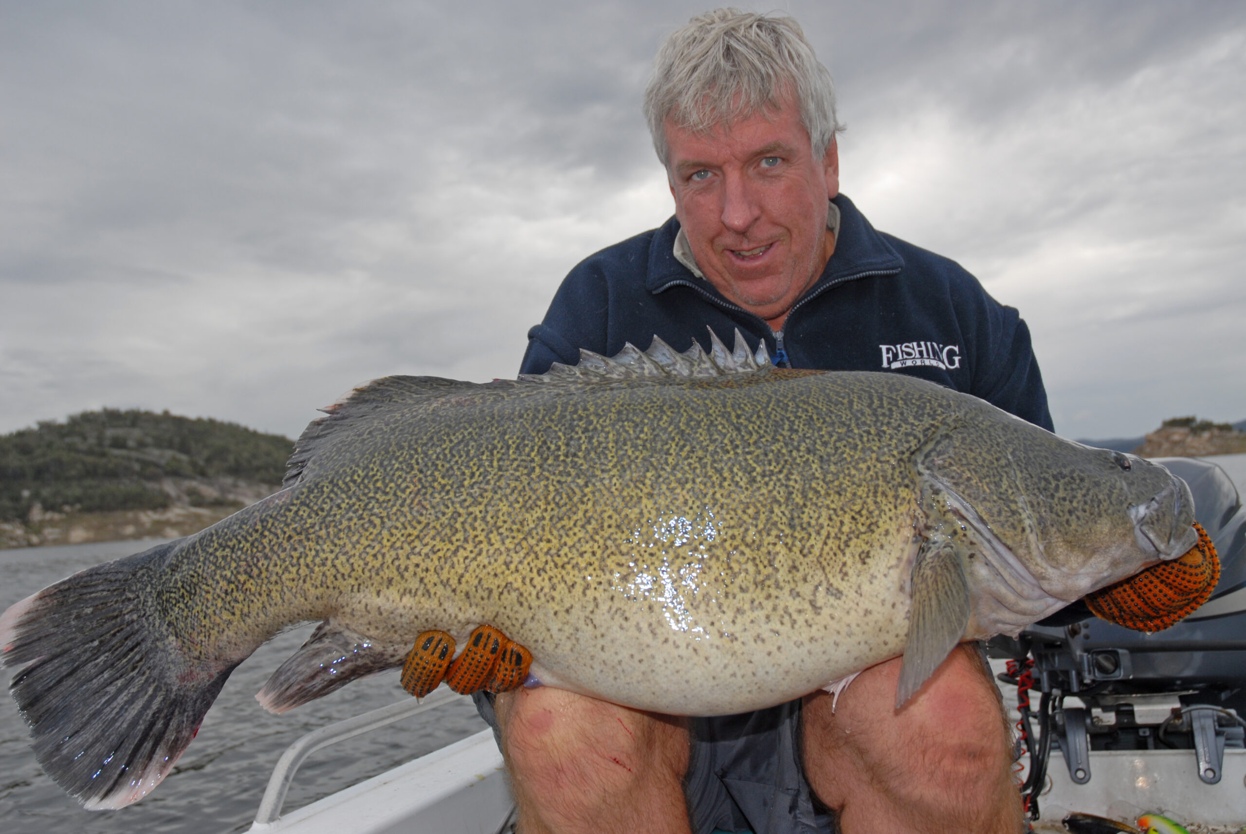 Murray Cod Basics Fishing World Australia