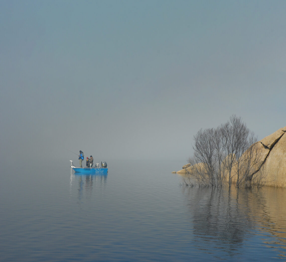 Murray Cod Basics - Fishing World Australia