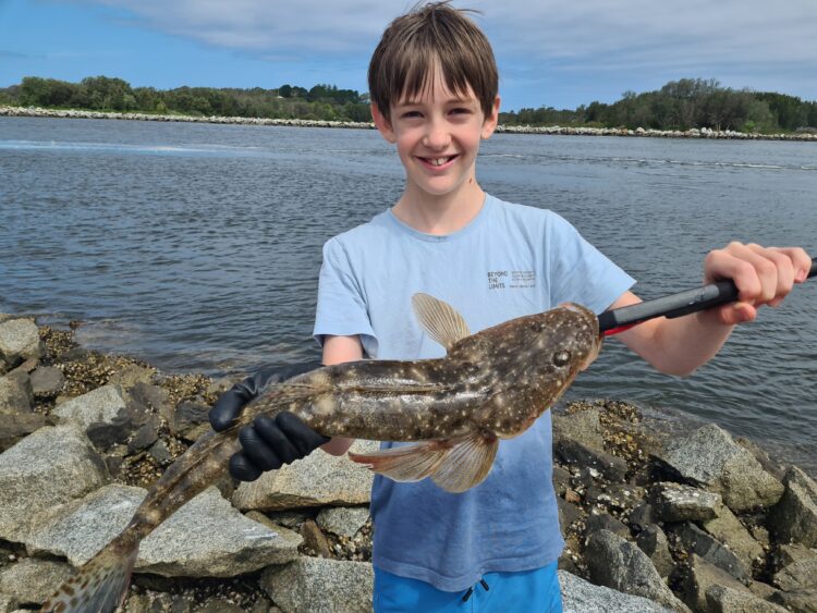 Rock wall flathead
