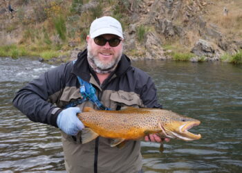 Trout fishing basics