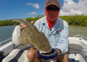 Understanding fishing leaders