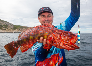 Fishos urged to make submissions on proposed South Coast Marine Parks