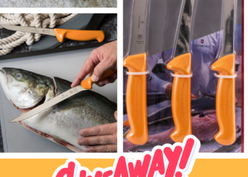 Swibo Filleting Knife giveaway