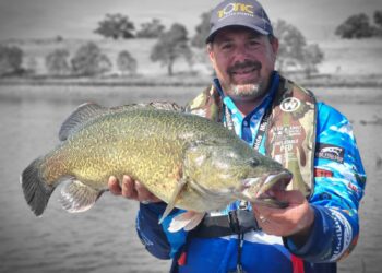 Victoria announces more year-round Murray cod fisheries