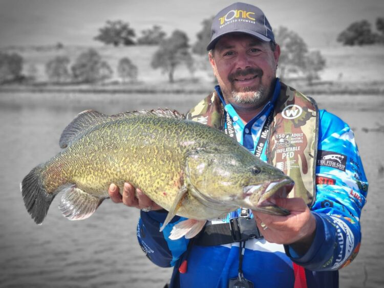 Victoria announces more year-round Murray cod fisheries