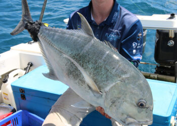 Capricorn Coast fishing