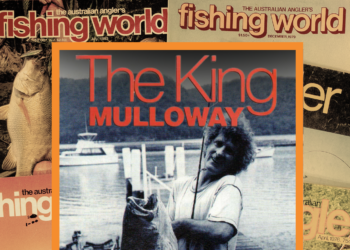 The King Mulloway