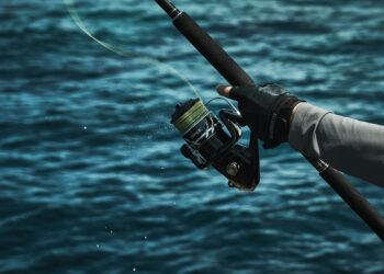 Shimano 2024 Stradic SW