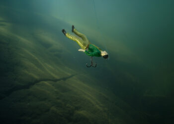 Carlsberg DrunkenBait lure