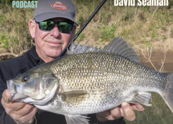 PODCAST: Dave Seaman 