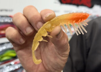 Rapala 2024 Crush City plastics