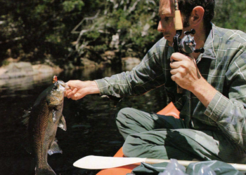 Fishing with Mr Bass