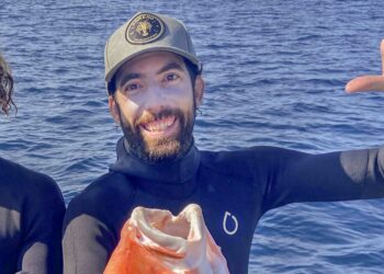 Profile: Michael Tropiano