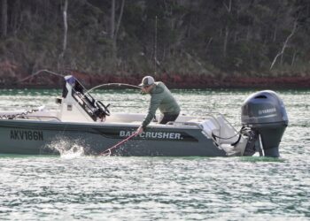 Bar Crusher 535XS for sale