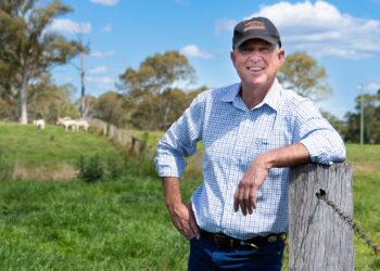 LNP’s doubt over Queensland gillnet ban