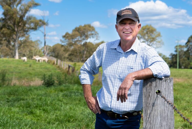 LNP’s doubt over Queensland gillnet ban