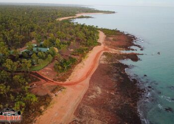 Crocodile injures Top End guide