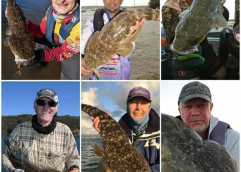 Lake Macquarie Trophy Flathead Tagging Program reaches 1000 fish