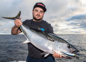 Species Guide: Southern bluefin tuna