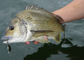 Estuary fishing basics