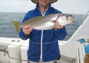 How to catch Teraglin