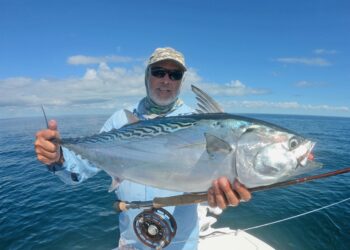 Understanding fish movements