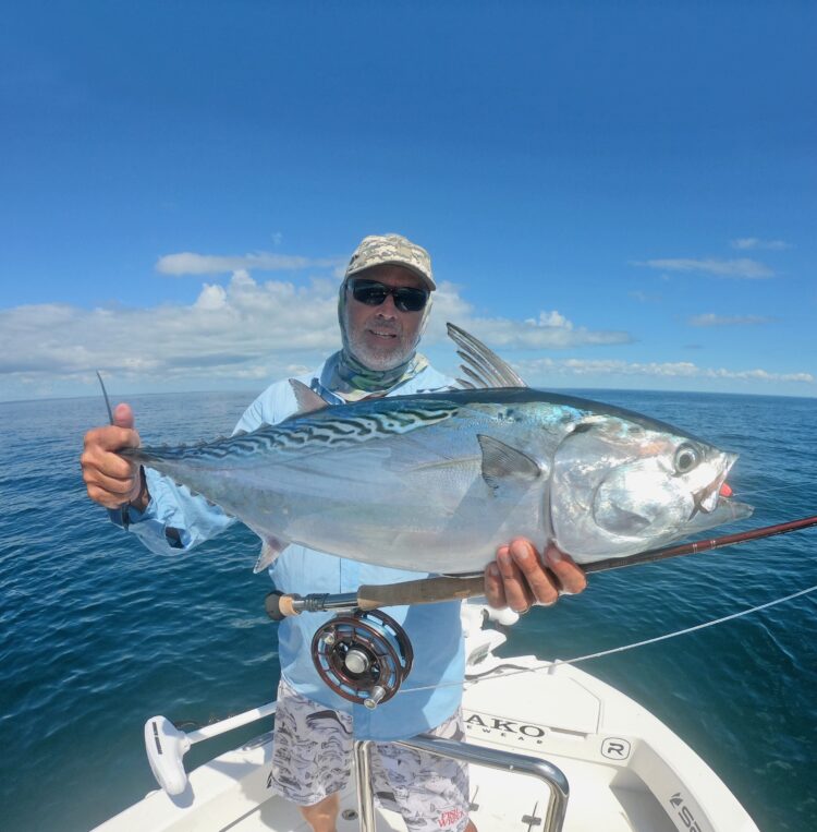 Understanding fish movements