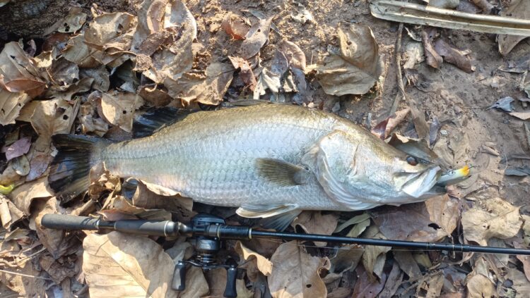 Fishing the Gulf of Carpentaria