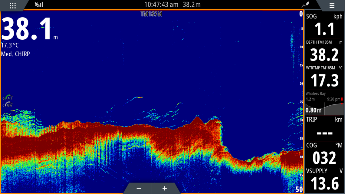South Australian red snapper - Fishing World Australia