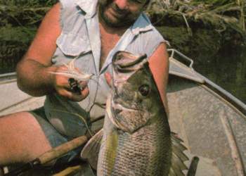 The Toughest Fish in the World