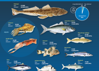 Tasmanian rec fishing survey finds increased participation