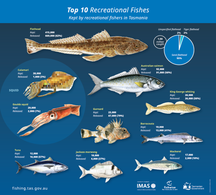 Tasmanian rec fishing survey finds increased participation