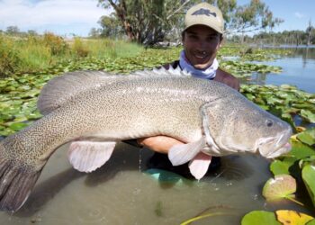 Vic anglers hooked on Murray Codference