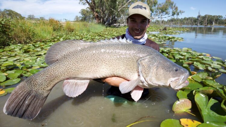 Vic anglers hooked on Murray Codference