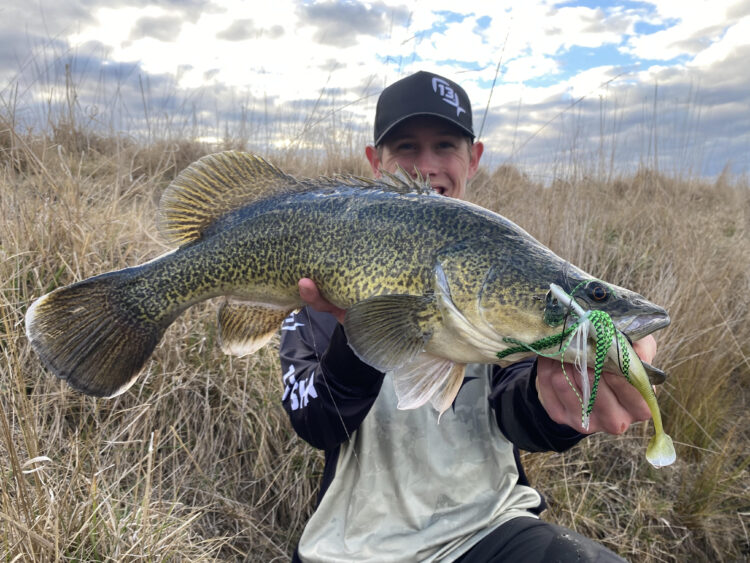 Bumper Murray cod season expected in Victoria