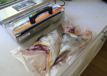 Vacuum Sealing fish
