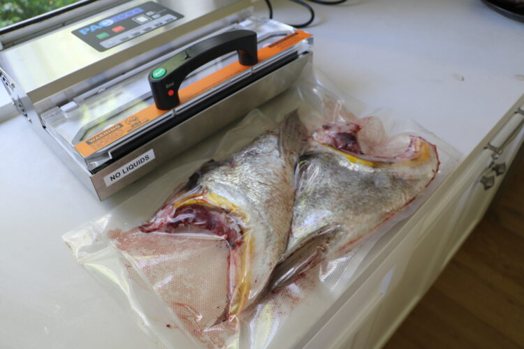 Vacuum Sealing fish