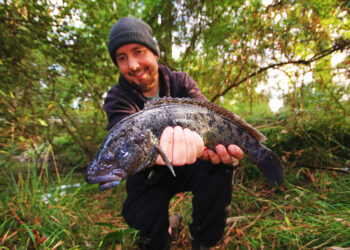 How to catch river blackfish