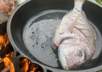 Solidteknics cookwear review