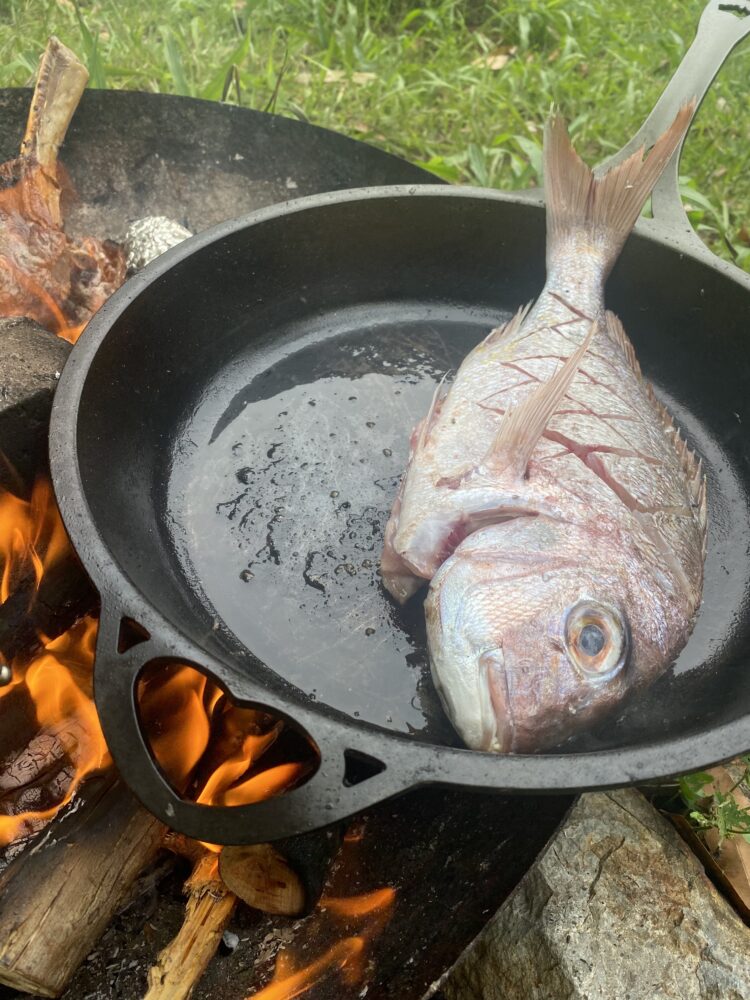 Solidteknics cookwear review