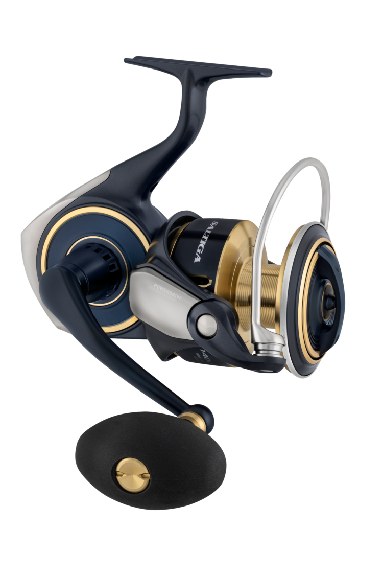 Daiwa 25 Saltiga
