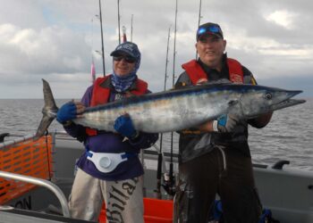 How to catch wahoo