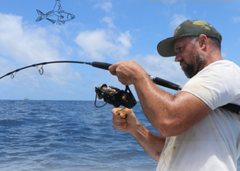 Podcast: Josh lewis, chef and fisho