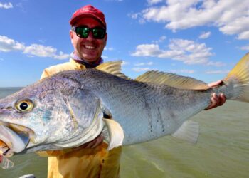 How to catch black jewfish