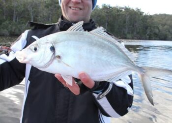 A tribute to trevally