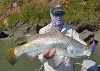 Cannon in the Kimberley 